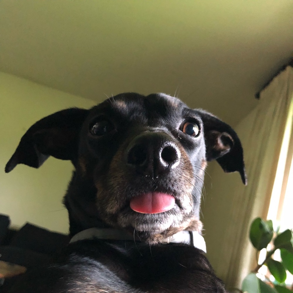 Meet your Posher, Aliye